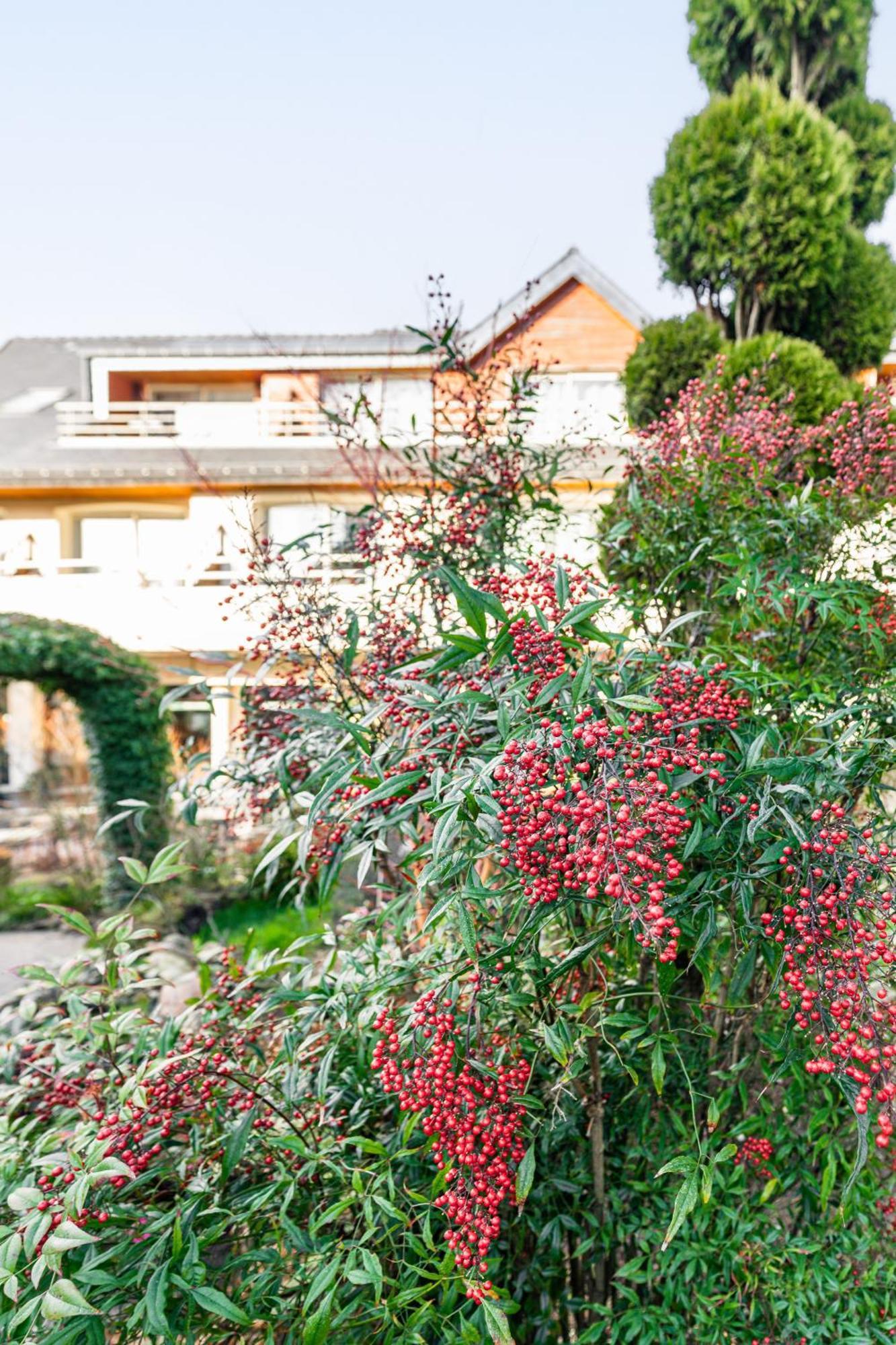 Logis L'Auberge - Maison Glenn Anna Sainte-Anne-d'Auray Екстер'єр фото